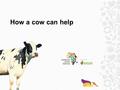 How a cow can help. Where we work Uganda – on the equator Difficulties faced by people in Uganda: poverty malnutrition under-nourished soil Aids / disease.