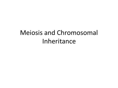 Meiosis and Chromosomal Inheritance. Chromosomes Karyotype – all chromosomes in an organism Homologous chromosomes – specific chromosome pair Gamete-