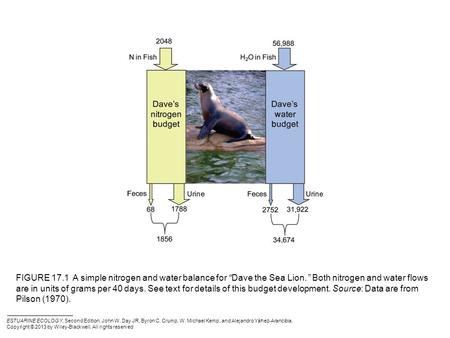 FIGURE 17.1 A simple nitrogen and water balance for ‘‘Dave the Sea Lion.’’ Both nitrogen and water flows are in units of grams per 40 days. See text for.