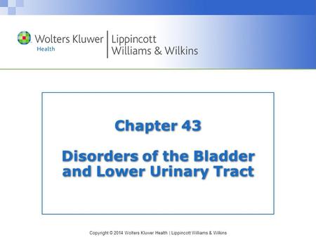 Copyright © 2014 Wolters Kluwer Health | Lippincott Williams & Wilkins Chapter 43 Disorders of the Bladder and Lower Urinary Tract.