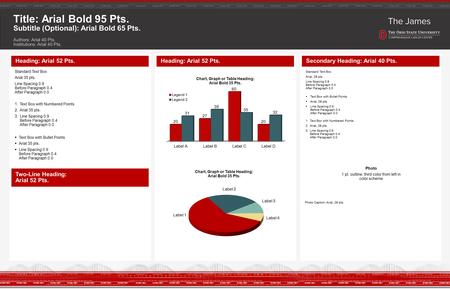 Title: Arial Bold 95 Pts. Subtitle (Optional): Arial Bold 65 Pts. Authors: Arial 40 Pts. Institutions: Arial 40 Pts. Secondary Heading: Arial 40 Pts. Standard.
