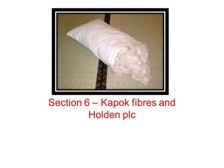 Section 6 – Kapok fibres and Holden plc. Lesson objectives To be able to analyse and discuss sustainability and business To be able to demonstrate knowledge.