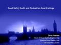 Chris Feltham Head of Road Safety Engineering London Road Safety Unit Transport for London Road Safety Audit and Pedestrian Guardrailings.