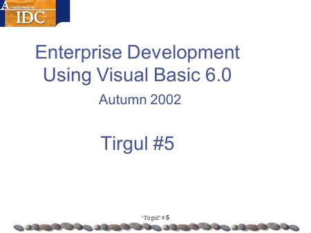 ‘Tirgul’ # 5 Enterprise Development Using Visual Basic 6.0 Autumn 2002 Tirgul #5.