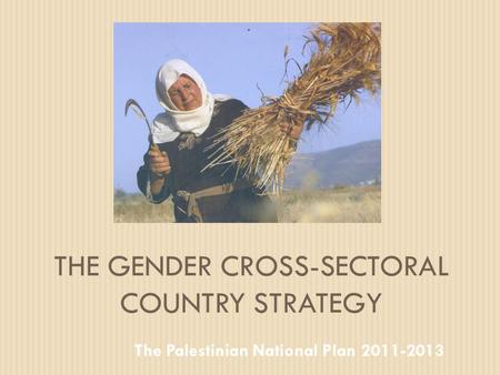 THE GENDER CROSS-SECTORAL COUNTRY STRATEGY The Palestinian National Plan 2011-2013.