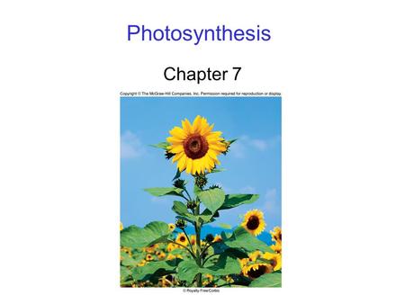 Photosynthesis Chapter 7. 2 Photosynthesis Overview Energy for all life on Earth ultimately comes from photosynthesis. 6CO 2 + 12H 2 O C 6 H 12 O 6 +