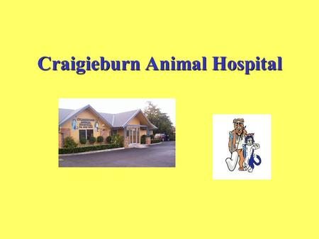 Craigieburn Animal Hospital. Dog and Cat Dental Health.