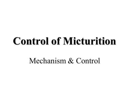 Control of Micturition