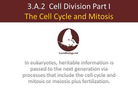 3.A.2 Cell Division Part I The Cell Cycle and Mitosis In eukaryotes, heritable information is passed to the next generation via processes that include.