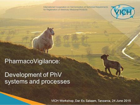 PharmacoVigilance: Development of PhV systems and processes VICH Workshop, Dar Es Salaam, Tanzania, 24 June 2015.