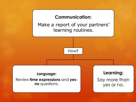 Make a report of your partners’ learning routines.