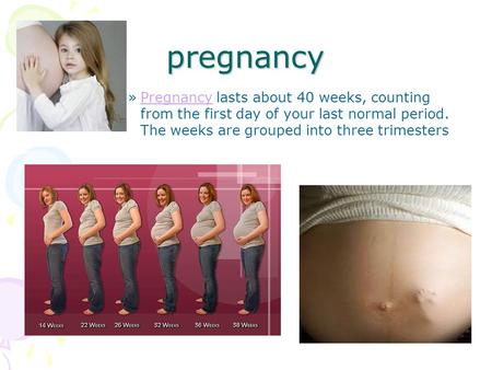 Pregnancy Pregnancy lasts about 40 weeks, counting from the first day of your last normal period. The weeks are grouped into three trimesters.