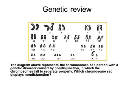 Genetic review The diagram above represents the chromosomes of a person with a genetic disorder caused by nondisjunction, in which the chromosomes fail.