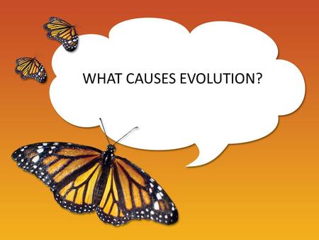 WHAT CAUSES EVOLUTION?. 5 EVOLUTIONARY MECHANISMS 1.MUTATIONS 2.GENE FLOW 3.GENETIC DRIFT 4.NONRANDOM MATING 5.NATURAL SELECTION.