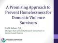 A Promising Approach to Prevent Homelessness for Domestic Violence Survivors Cris M. Sullivan, PhD Michigan State University Research Consortium on Gender-based.