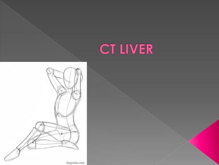  Macroscopic anatomy › External view › The quadrate lobe belongs anatomically to the right lobe and functionally to the left