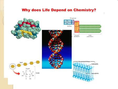 Chapter 2 - The Chemistry of Life I. The Nature of Matter A. Atoms - made of p+, e-, no B. Elements and Isotopes - - Element has only one type of atom,