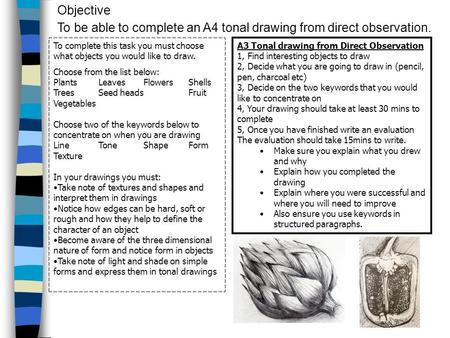 Objective To be able to complete an A4 tonal drawing from direct observation. To complete this task you must choose what objects you would like to draw.