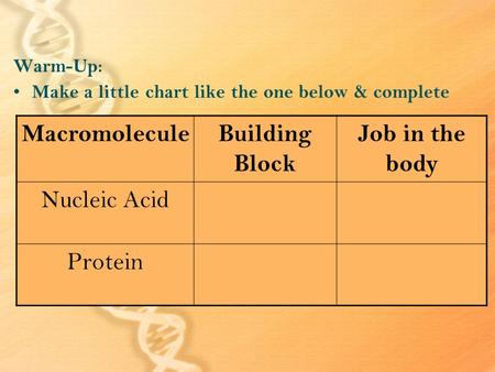 Warm-Up: Make a little chart like the one below & complete MacromoleculeBuilding Block Job in the body Nucleic Acid Protein.