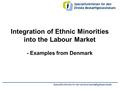 Specialfunktionen for den etniske beskæftigelsesindsats Integration of Ethnic Minorities into the Labour Market - Examples from Denmark.