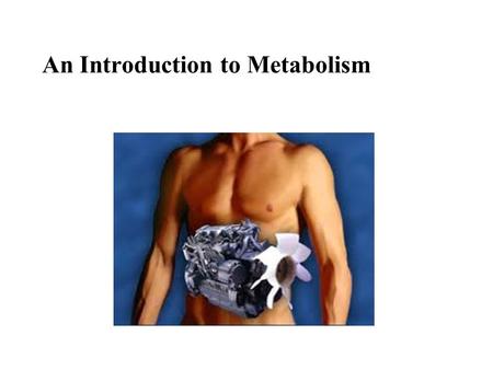 An Introduction to Metabolism