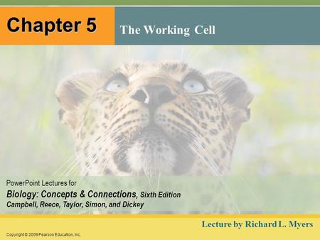 Copyright © 2009 Pearson Education, Inc. PowerPoint Lectures for Biology: Concepts & Connections, Sixth Edition Campbell, Reece, Taylor, Simon, and Dickey.