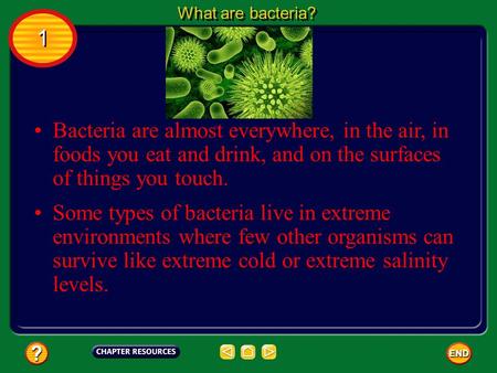 Bacteria are almost everywhere, in the air, in foods you eat and drink, and on the surfaces of things you touch. Some types of bacteria live in extreme.