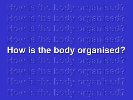 How is the body organised? How is a body organised? To understand how the body is organised, think about how a school is organised: A school needs to.