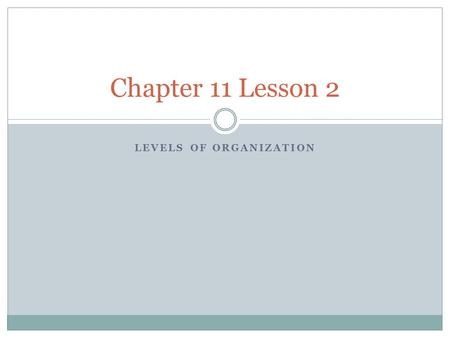 LEVELS OF ORGANIZATION Chapter 11 Lesson 2. Essential Questions How do unicellular and multicellular organisms differ? How does cell differentiation lead.