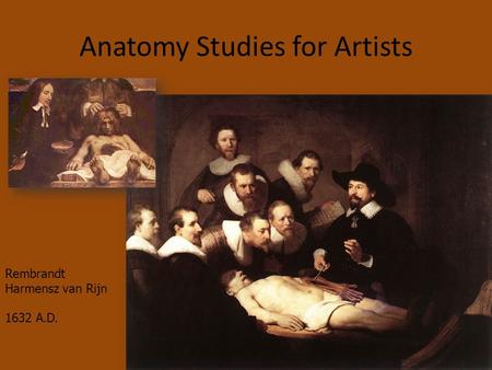 Anatomy Studies for Artists Rembrandt Harmensz van Rijn 1632 A.D.