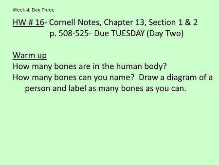 HW # 16- Cornell Notes, Chapter 13, Section 1 & 2 p. 508-525- Due TUESDAY (Day Two) Warm up How many bones are in the human body? How many bones can you.