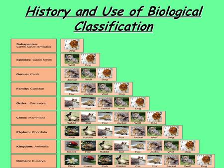 History and Use of Biological Classification