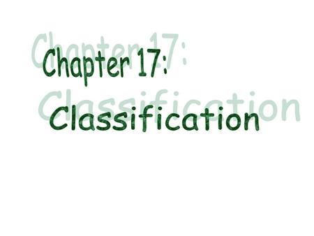 Classification of 2 different organisms Human Kingdom: Animalia Phylum: Chordata Class: Mammalia Order: Primata Family: Hominidae Genus: Homo Species: