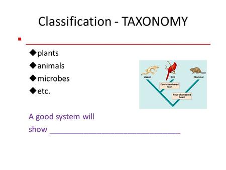 Classification - TAXONOMY  _____________________________________  plants  animals  microbes  etc. A good system will show ______________________________.