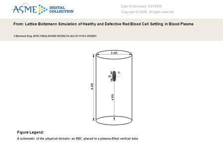 Date of download: 5/31/2016 Copyright © ASME. All rights reserved. From: Lattice Boltzmann Simulation of Healthy and Defective Red Blood Cell Settling.