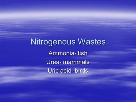 Nitrogenous Wastes Ammonia- fish Urea- mammals Uric acid- birds.