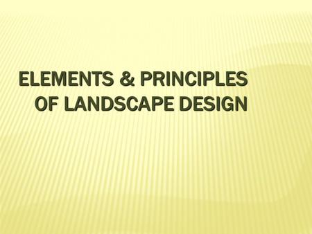 Elements & Principles of Landscape Design