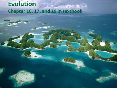 Evolution Chapter 16, 17, and 19 in textbook. Darwin’s Theory of Evolution Evolution: the process by which all living organisms have developed and diversified.