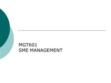 MGT601 SME MANAGEMENT. Lesson 17 Financial Feasibility of SMEs.