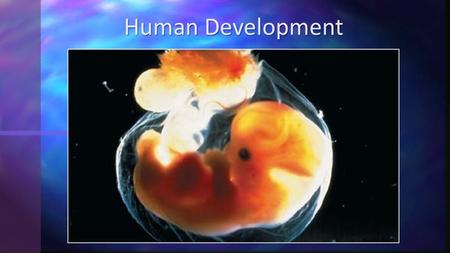 Human Development.