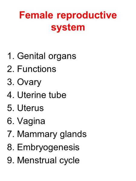 Female reproductive system 1. Genital organs 2. Functions 3. Ovary 4. Uterine tube 5. Uterus 6. Vagina 7. Mammary glands 8. Embryogenesis 9. Menstrual.