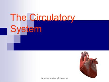 The Circulatory System.