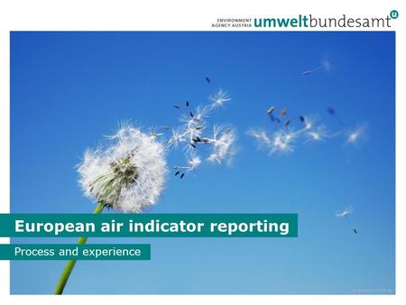 1 European air indicator reporting Process and experience © iStockphoto.com/cmisje.