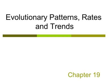 Chapter 19 Evolutionary Patterns, Rates and Trends.