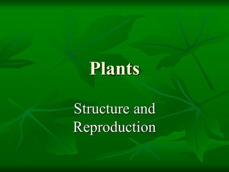 Plants Structure and Reproduction. Characteristics of Plants  Autotrophic  Multicellular  Eukaryotic  Cell wall made of cellulose  Organelles including.