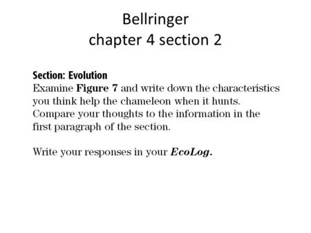 Bellringer chapter 4 section 2. Objectives Explain the process of evolution by natural selection. Explain the concept of adaptation. Describe the steps.