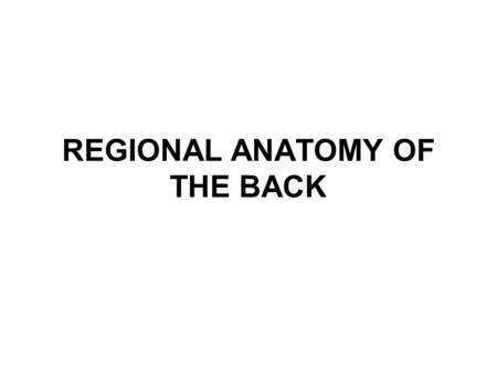 REGIONAL ANATOMY OF THE BACK