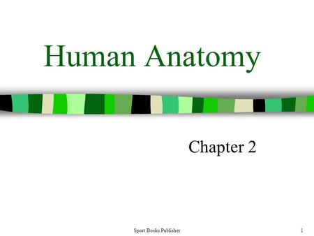 Sport Books Publisher1 Human Anatomy Chapter 2. Sport Books Publisher2 Muscles of the Human Body.