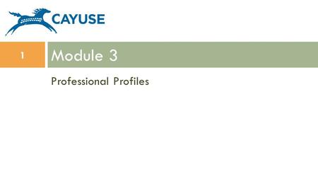 Professional Profiles Module 3 1. Objectives  In this module you will learn:  Professional Profile basics  How to create a Professional Profile  How.