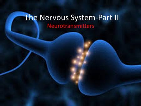 The Nervous System-Part II